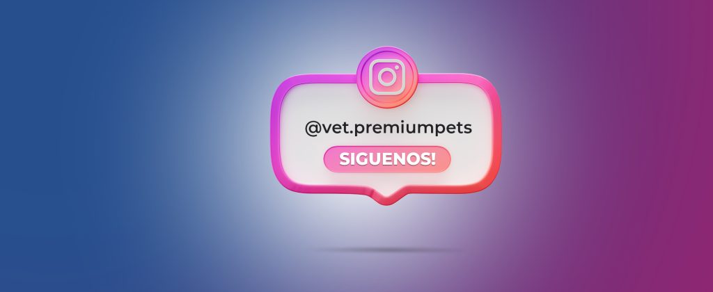 Follow Us On Instagram Social Media 3d Render Banner